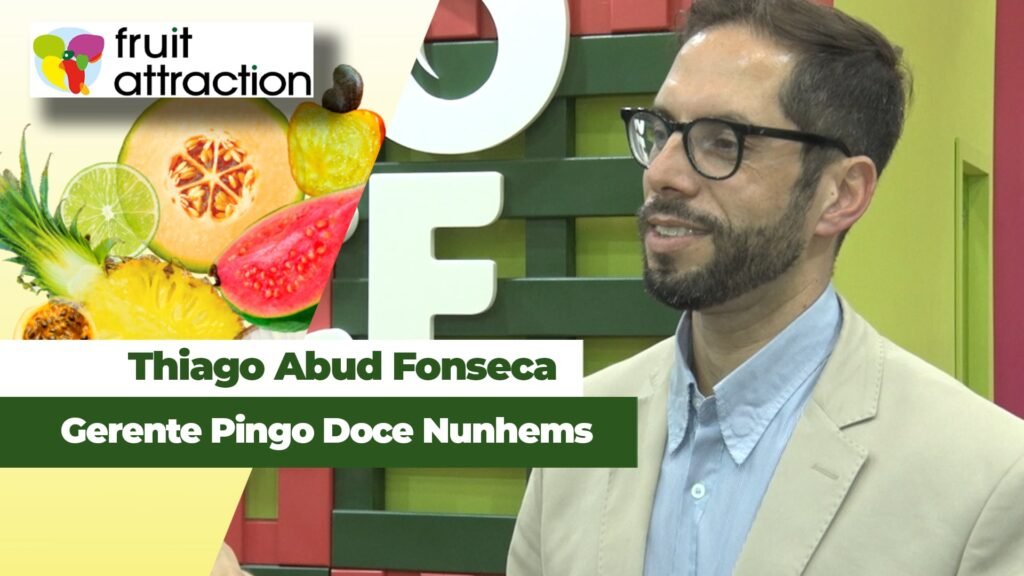 Desvendando o ‘Conteúdo Relacionado’: Como o Clique Agora Amplia Sua Leitura