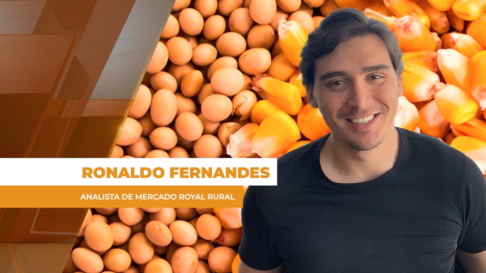 Conteúdo Relacionado