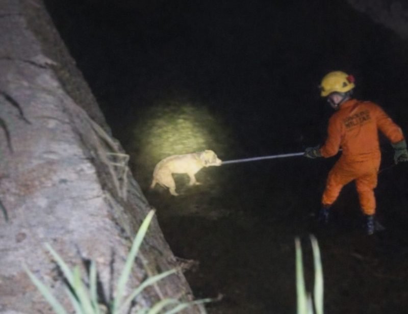 tes Economia Variedades Saúde Opinião Vídeos Curiosidades Nós usamos cookies par