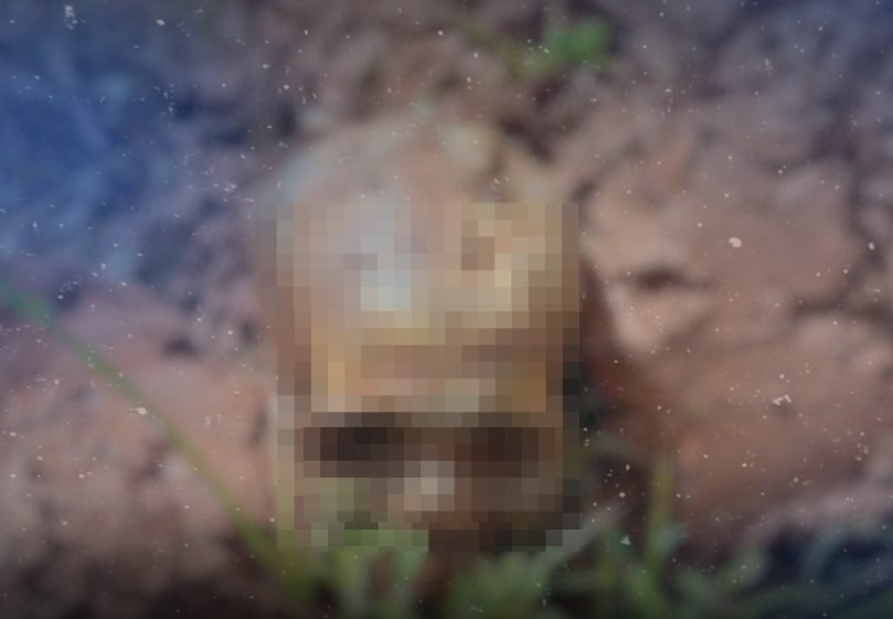 Funcionário descobre ossada humana durante manutenção em creche municipal