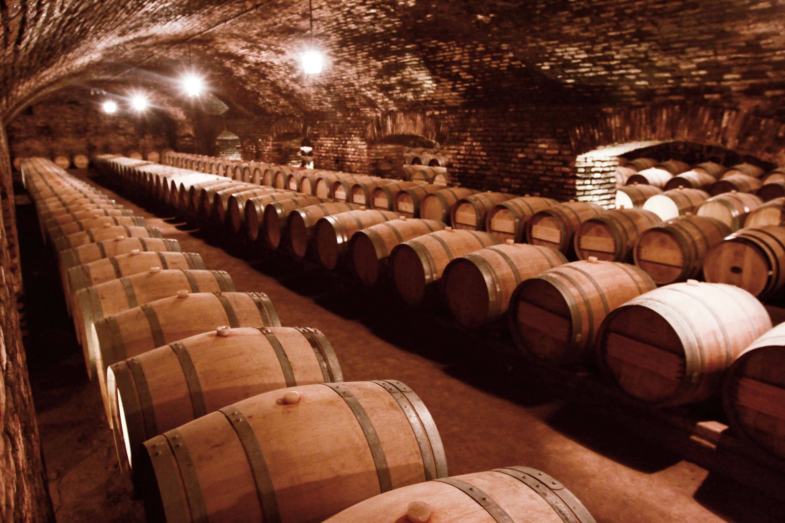 Concha y Toro lança vinho Casillero del Diablo sem álcool no Brasil