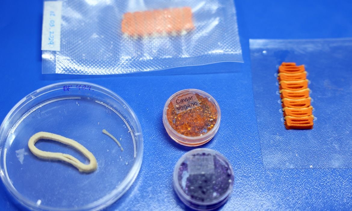 Embrapa desenvolve salmão, caviar e anéis de lula veganos em laboratório