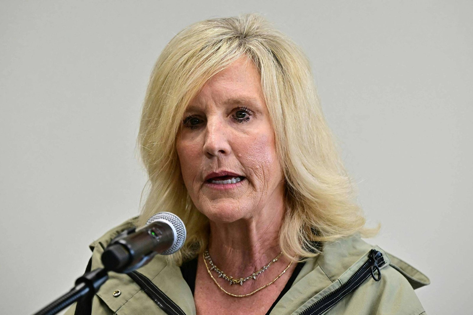 Erin Brockovich lança plataforma para monitorar data centers nos EUA