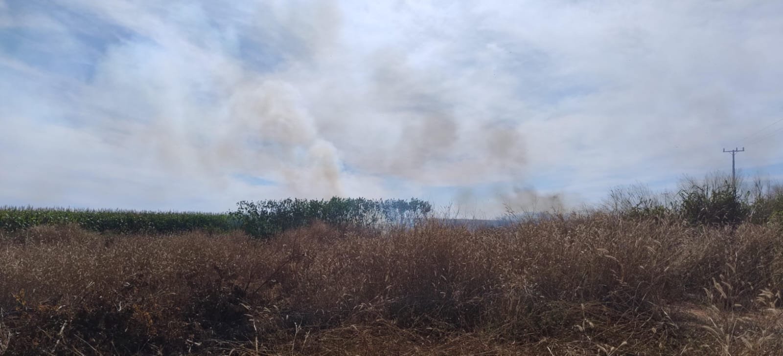 Incêndio em vegetação mobiliza bombeiros na Mt-130 em Primavera do Leste