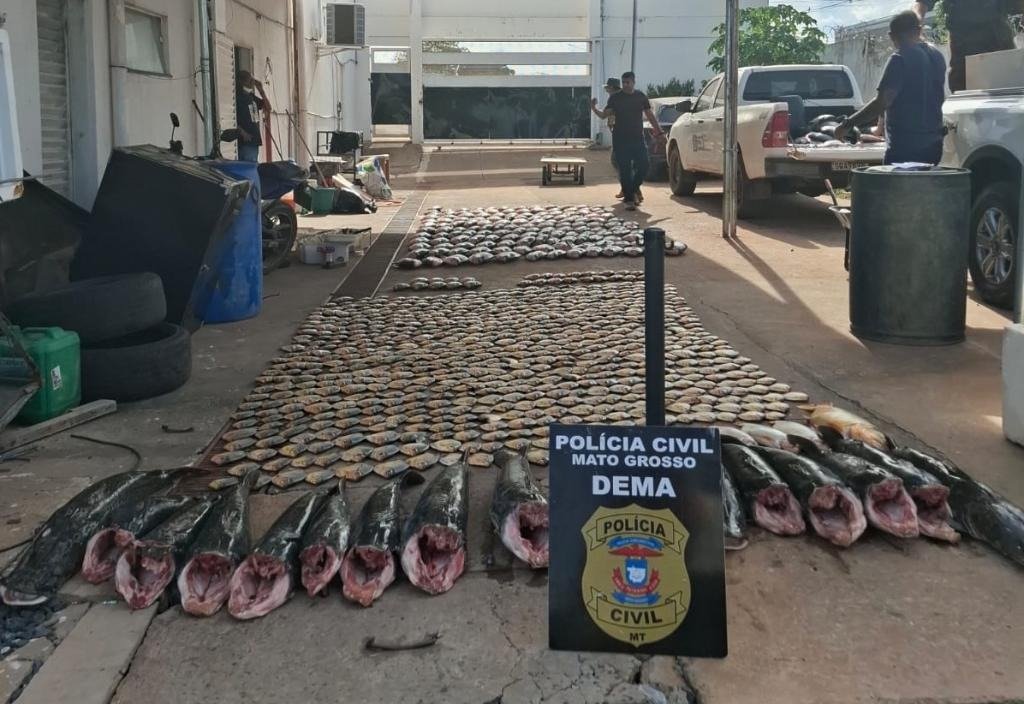 Polícia Civil desmantela esquema de pesca predatória e apreende 911 quilos de pescado irregular em Cuiabá