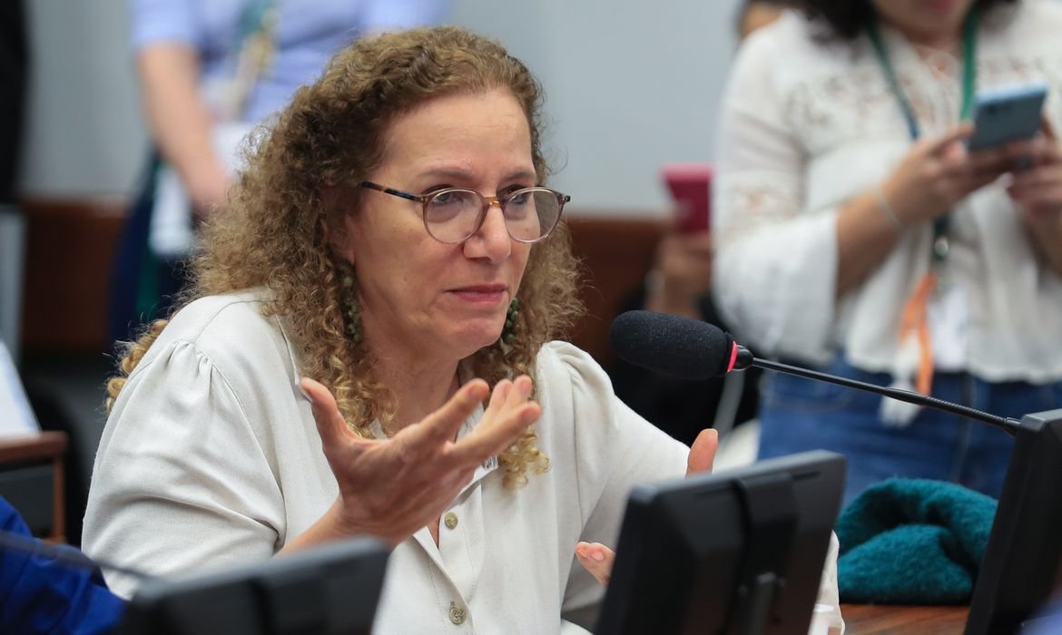 Parlamentares brasileiros visitam EUA para apresentar visão alternativa à direita
