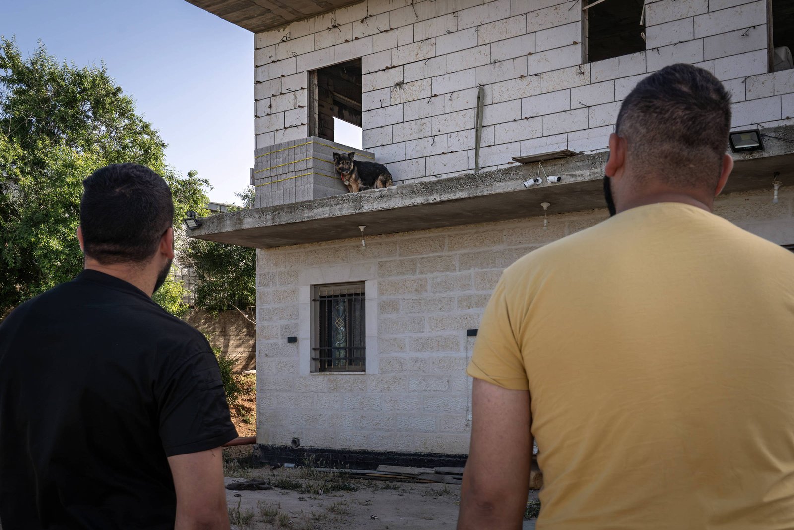 Crueldade contra animais choca palestinos acostumados à violência na Cisjordânia
