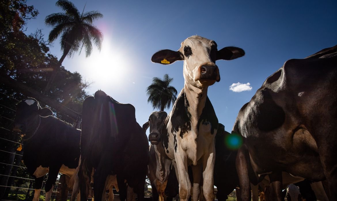 União Europeia impõe veto à carne brasileira a partir de setembro