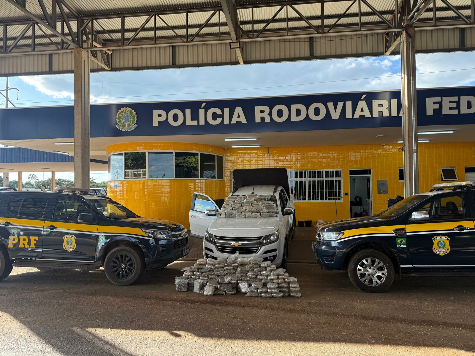 Polícia Rodoviária Federal apreende 170 tabletes de skunk em caminhonete na Br-070