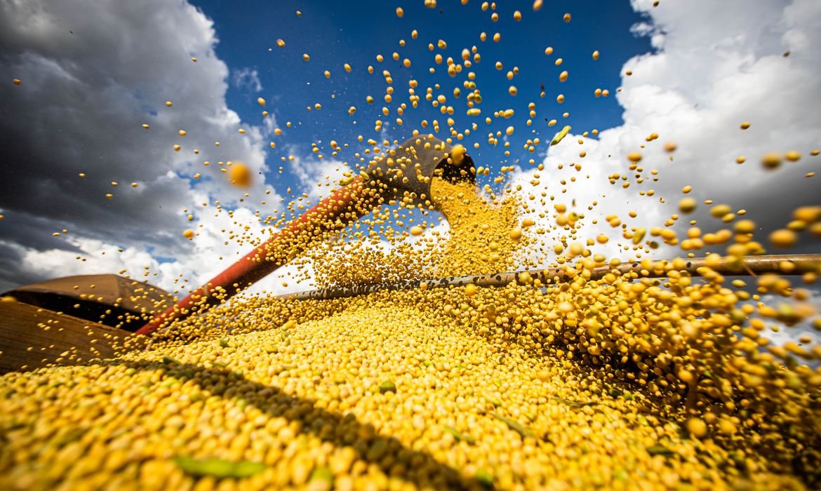 Produção de grãos no Brasil pode alcançar 358,6 milhões de toneladas na safra 2025/26