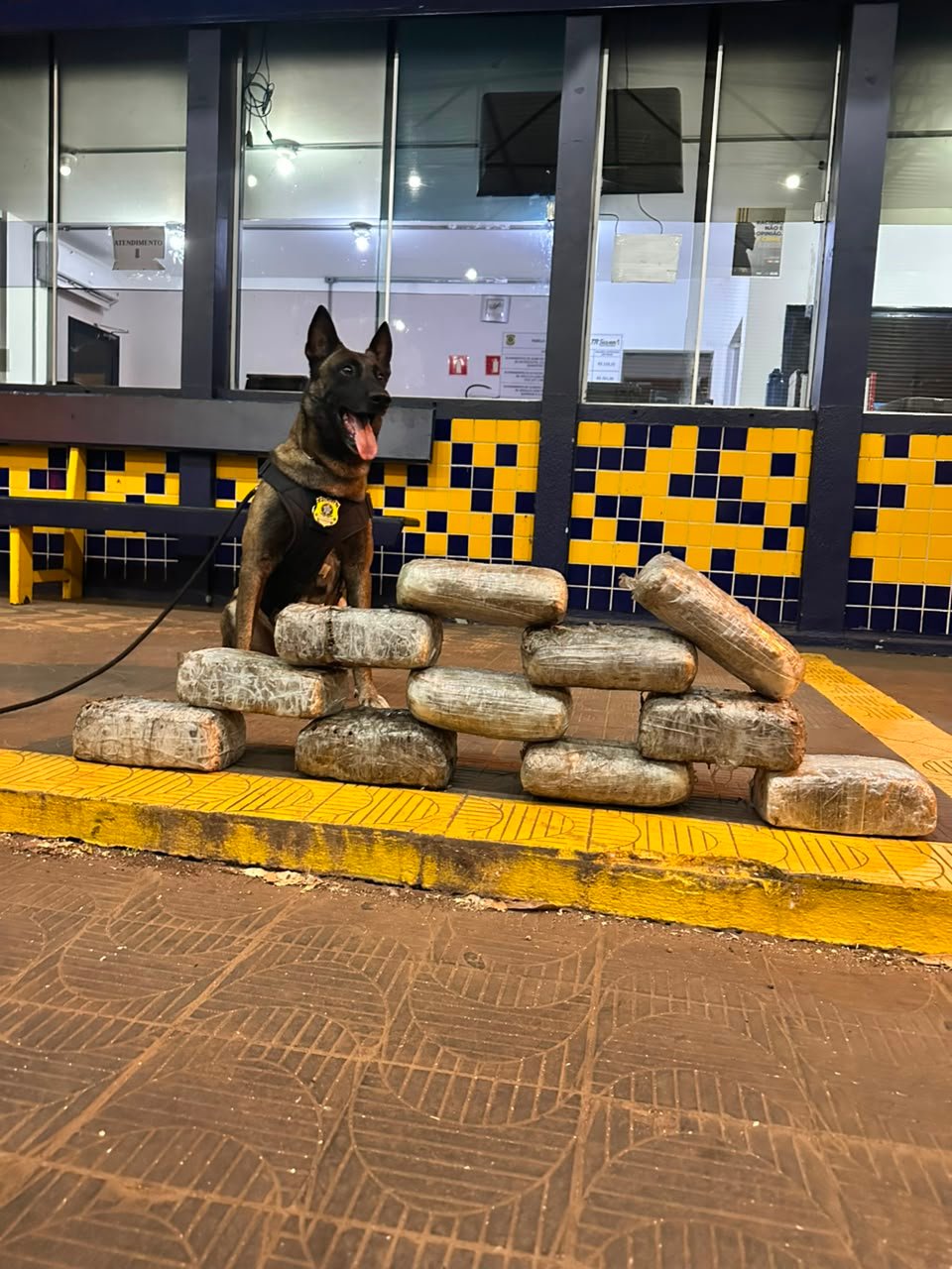 Polícia Rodoviária Federal apreende quase 30 quilos de drogas em pneus de carreta na Br-364