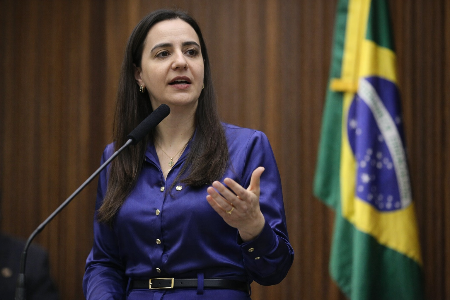 Imagem gerada com IA