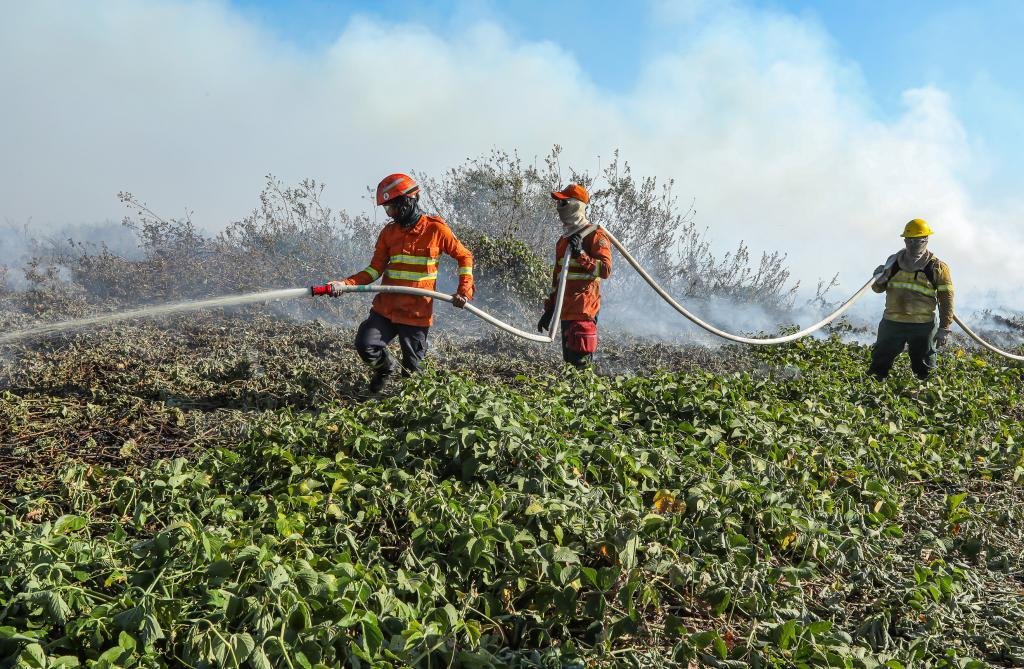 Corpo de Bombeiros de MT abre 150 vagas para brigadistas temporários em 29 municípios