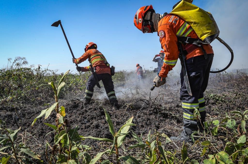 Início das inscrições para brigadistas temporários do Corpo de Bombeiros em Mato Grosso