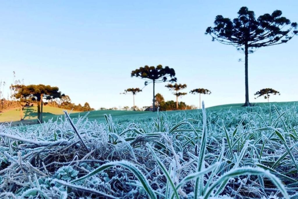 Geadas ameaçam cidades do Sul do Brasil nos próximos dias