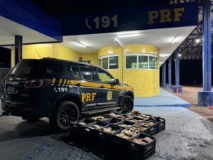 PRF apreende 274 quilos de drogas em Alto Garças e detém motorista