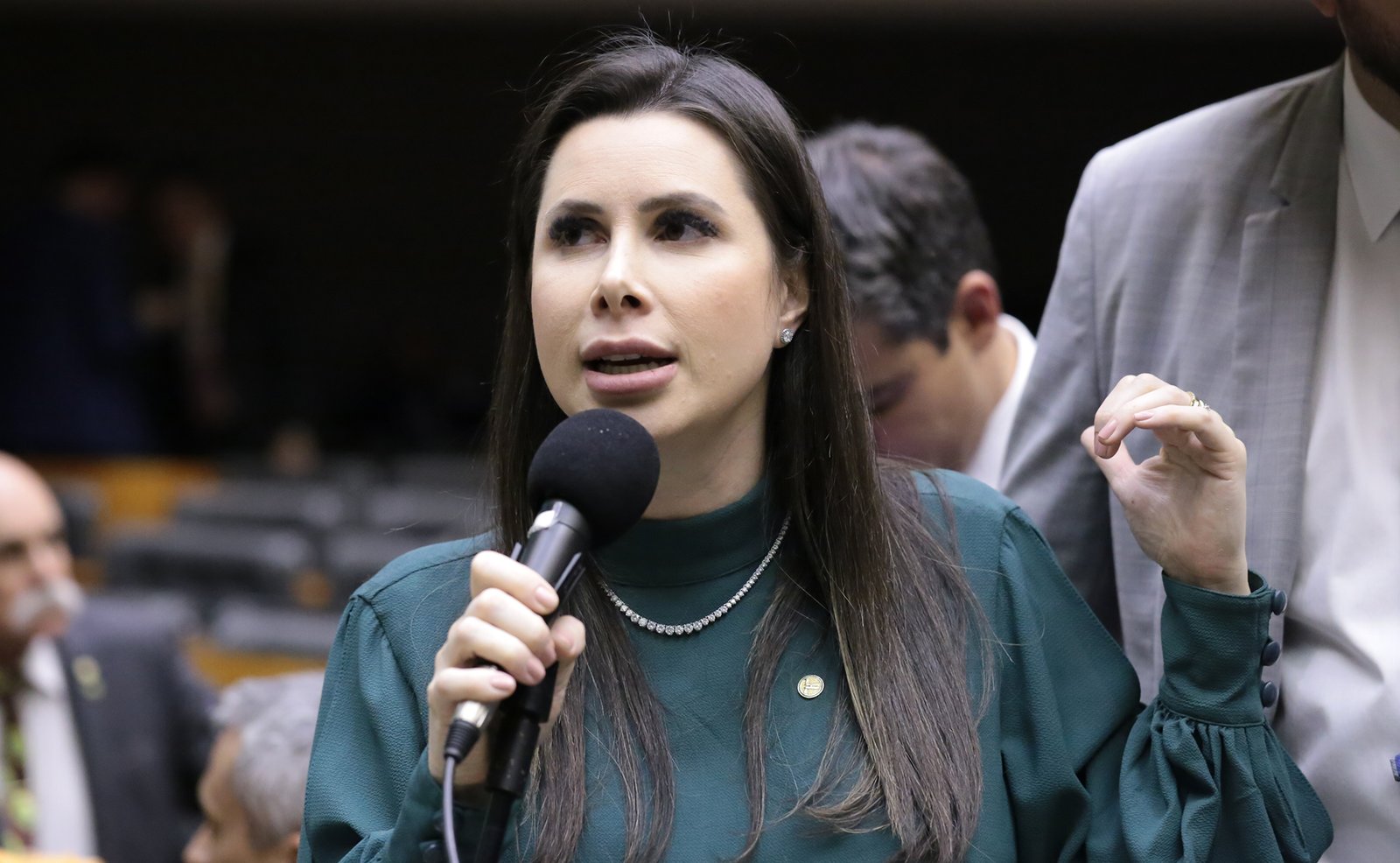 Câmara aprova diretrizes para políticas de ovinocaprinocultura