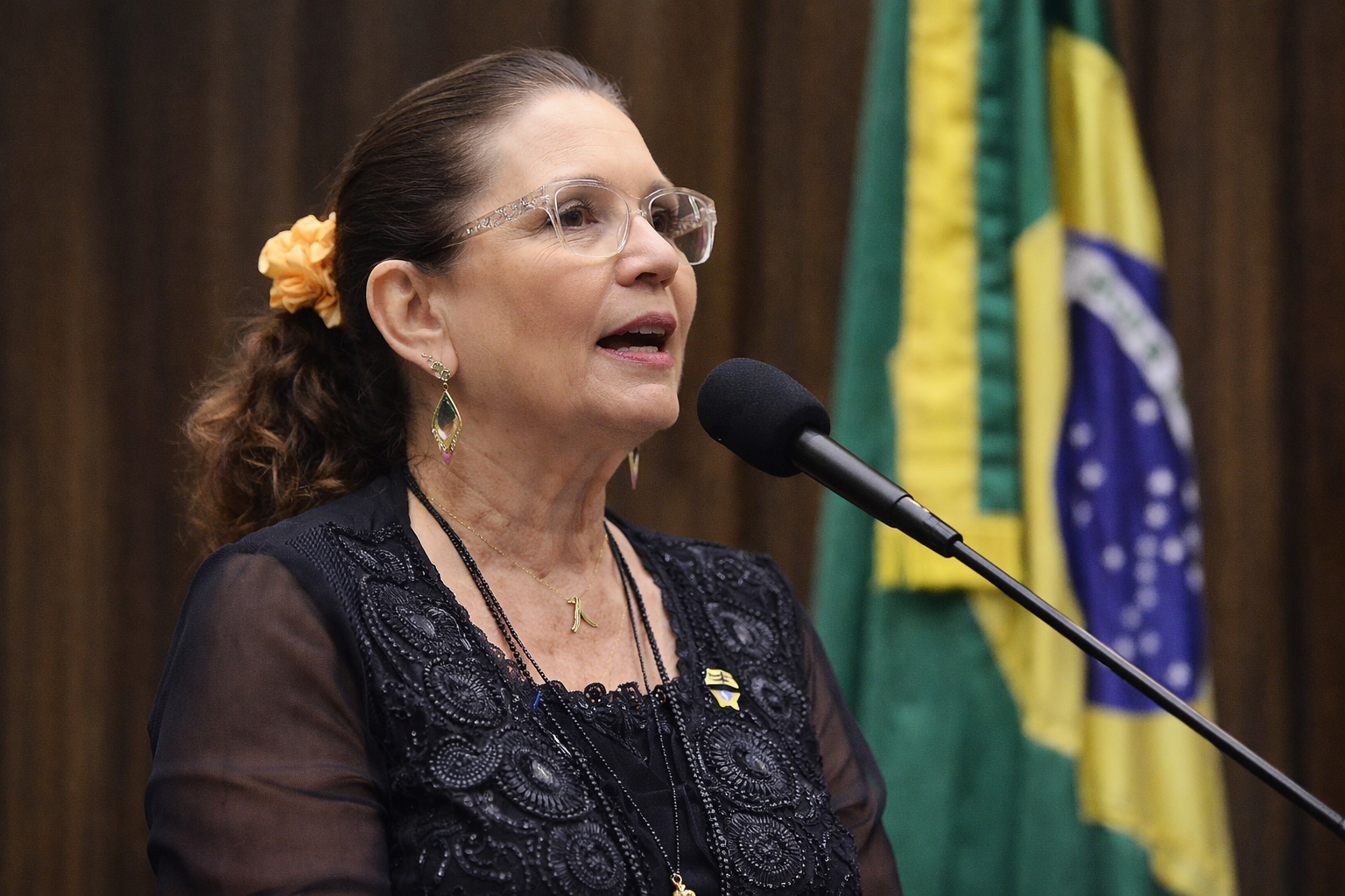 Imagem gerada com IA