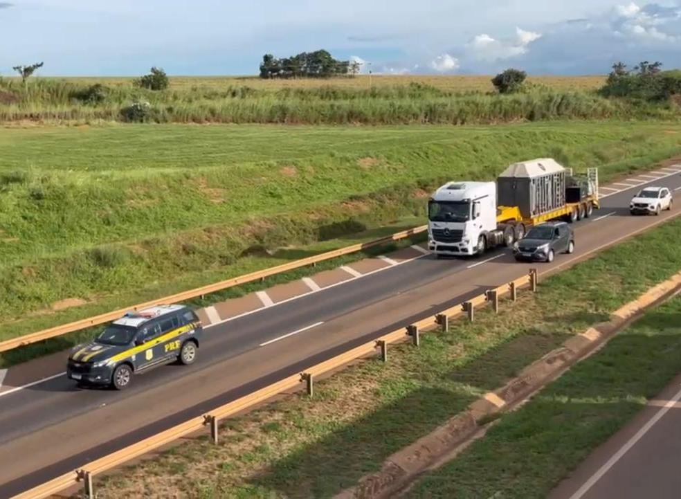 Elefanta Baby será escoltada pela PRF em Rondonópolis nesta sexta-feira