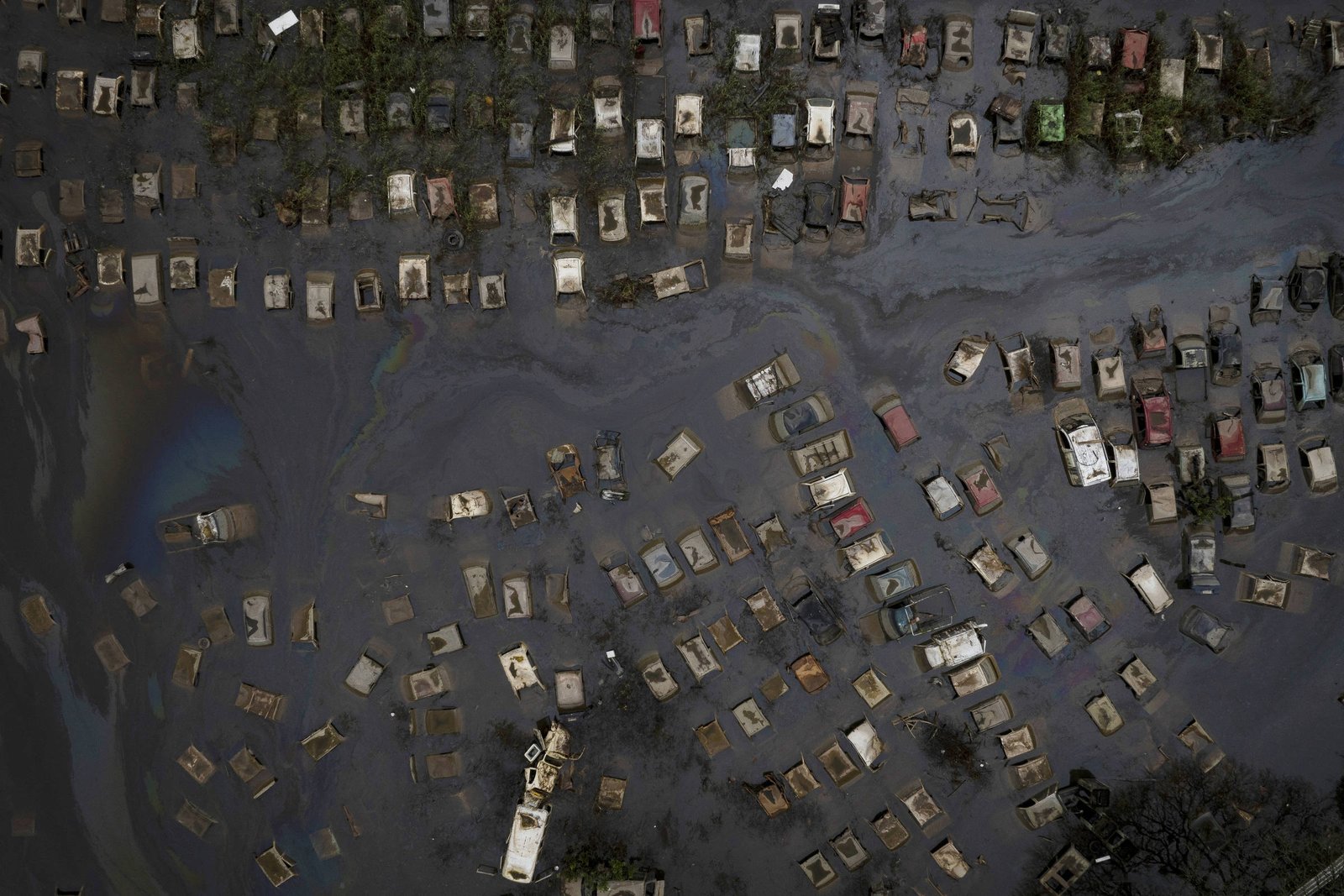 Seguradoras se preparam para impactos do El Niño e aumento de indenizações