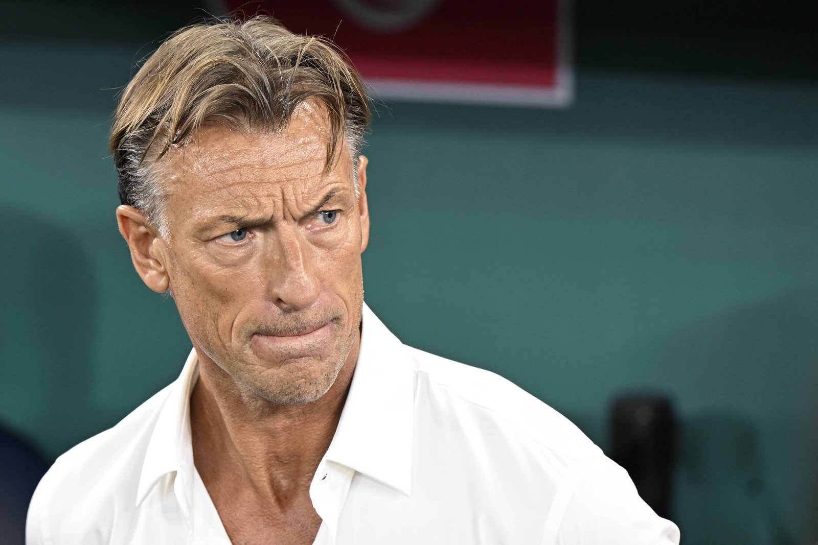 Hervé Renard, técnico da Tunísia, afirma estar livre para novos desafios após eliminação no Mundial