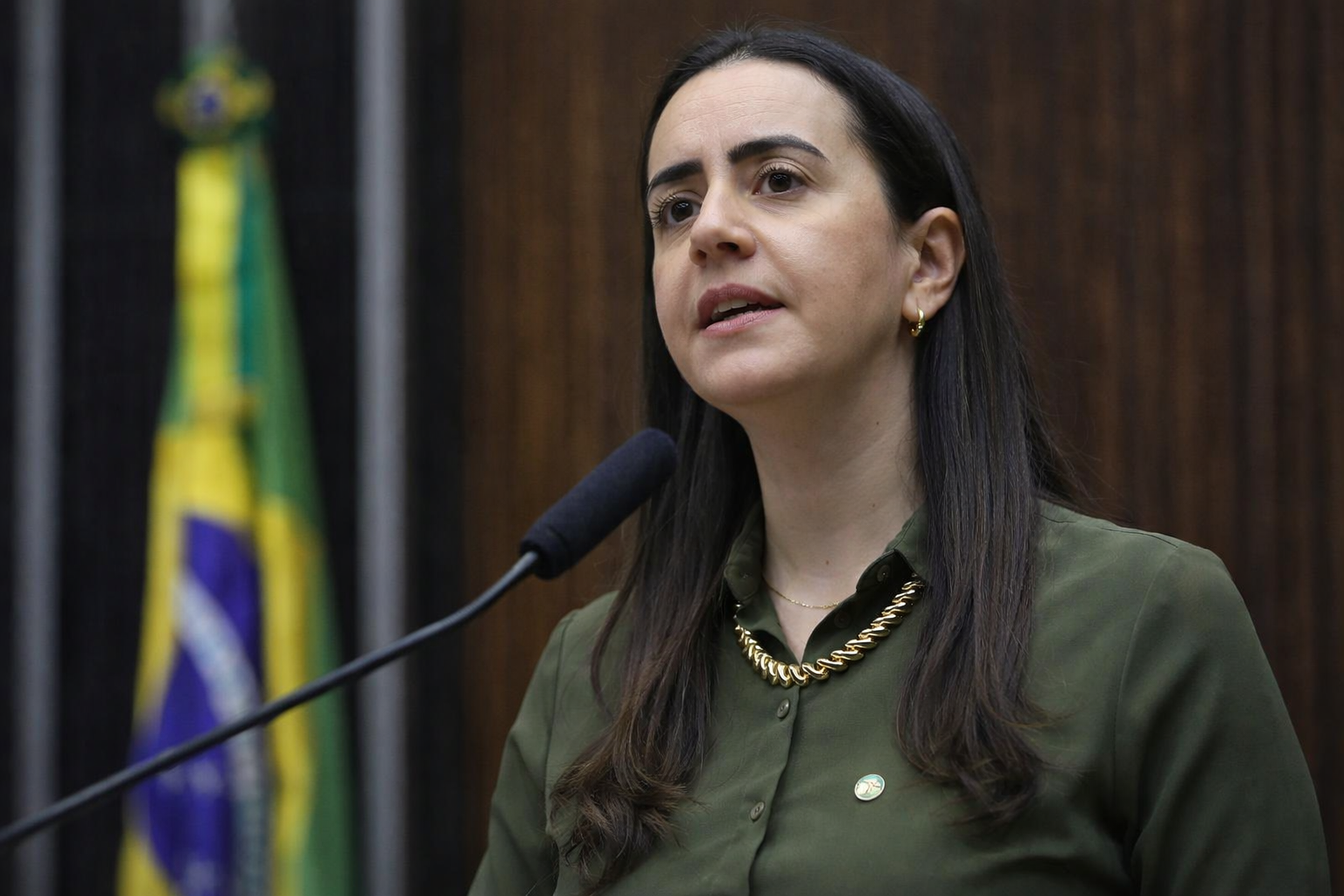 Imagem gerada com IA