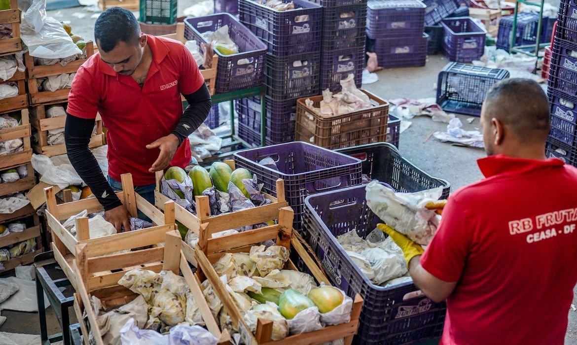 Governo federal destina R$ 97,3 bilhões para agricultores familiares no novo Plano Safra