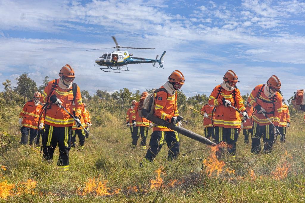 Período proibitivo para uso do fogo inicia em Mato Grosso e bombeiros alertam para riscos de incêndios
