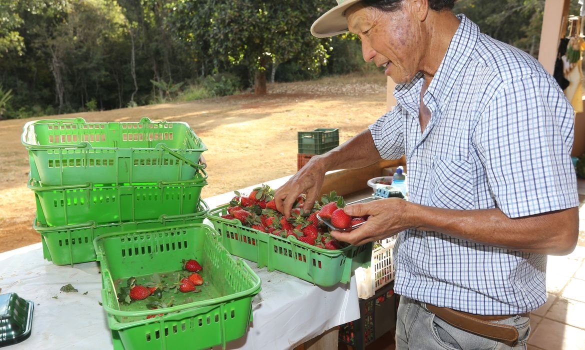 Finep destina R$ 220 milhões para inovações na agricultura familiar