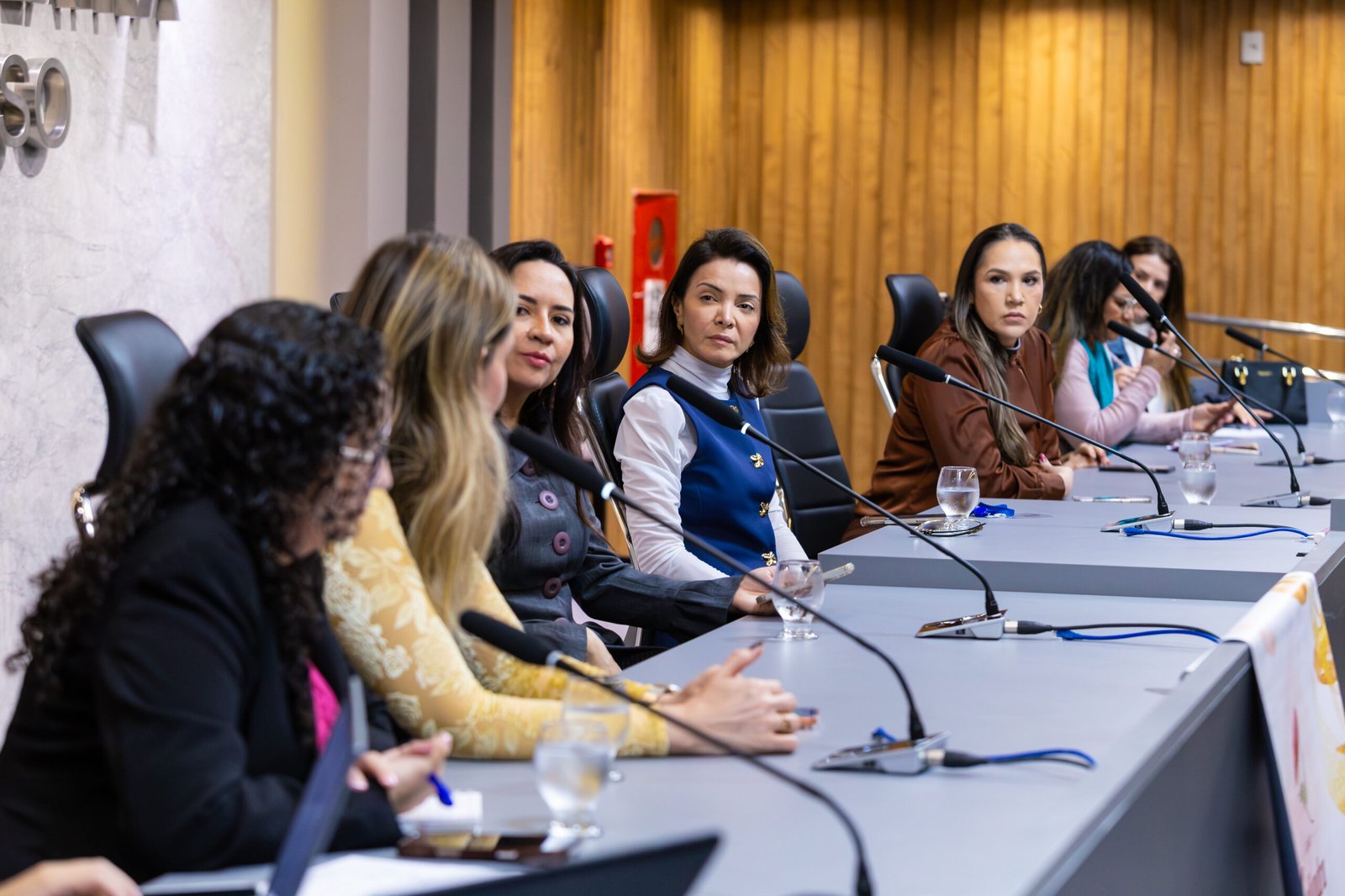 Assembleia Legislativa promove reunião para fortalecer combate à violência doméstica