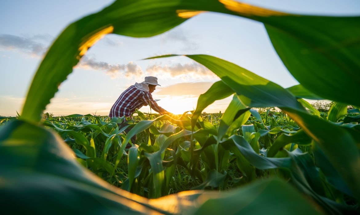 Medida provisória de dívida rural prioriza perdas climáticas, afirma Durigan