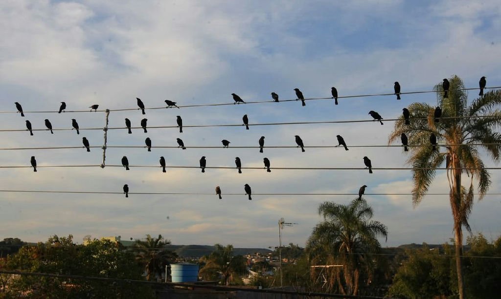 Imagem gerada com IA