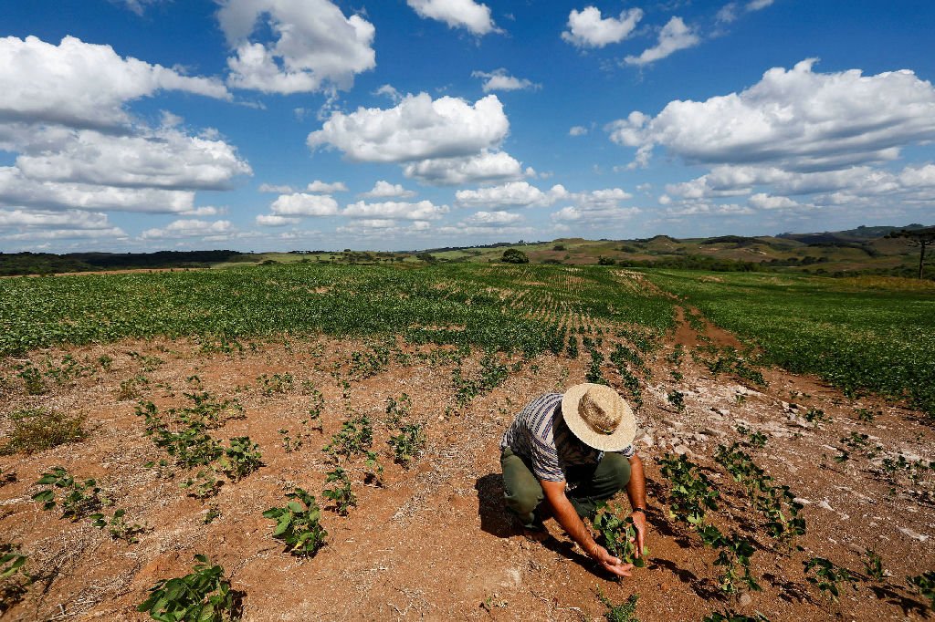 Mudanças climáticas podem ter reduzido renda do agro em R$ 200 bilhões, aponta estudo