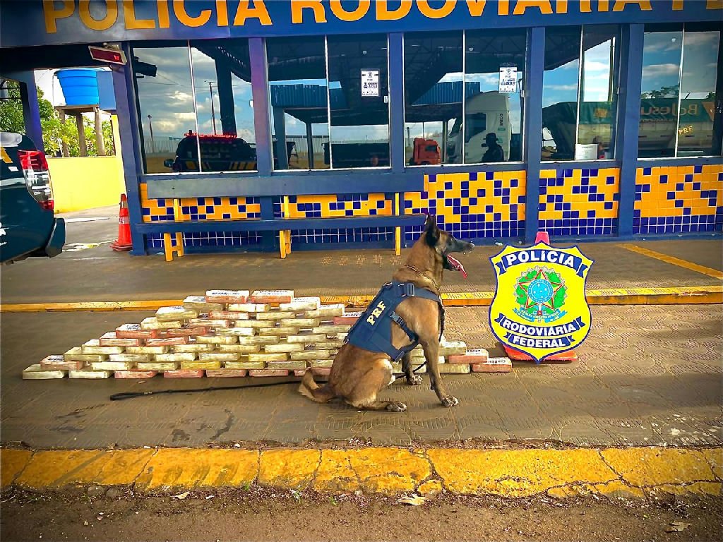 Polícia Rodoviária Federal apreende 65 tabletes de cocaína na Br-364 em Rondonópolis