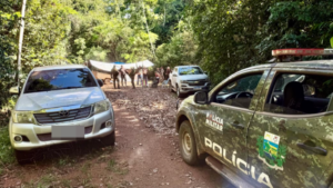 Homem é detido com pistola de numeração raspada em parque estadual de Alta Floresta