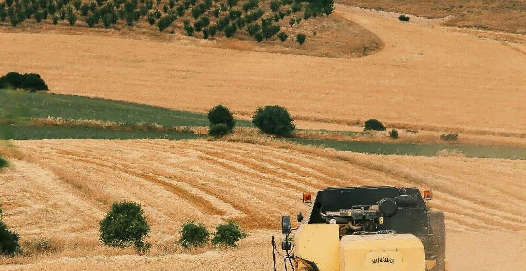 Renegociação de dívidas do agronegócio é tema de medida provisória
