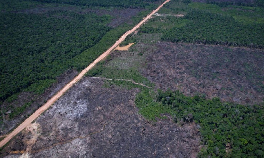 Ministério da Fazenda realiza quinto leilão do Eco Invest Brasil para impulsionar inovação sustentável