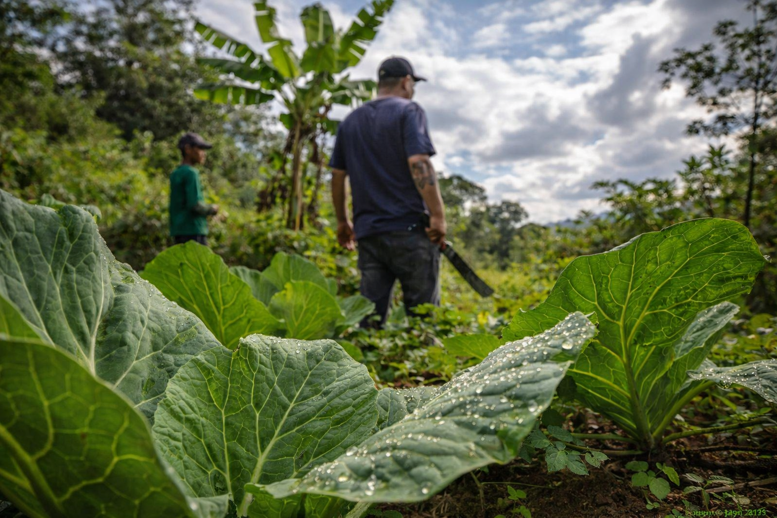 Novo programa visa criar assentamentos produtivos nas áreas urbanas