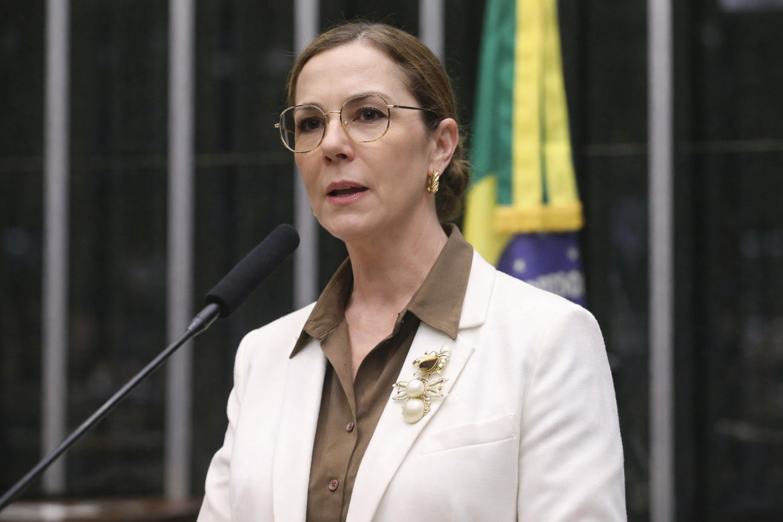 Projeto de lei propõe avaliação de risco de feminicídio em atendimentos de saúde