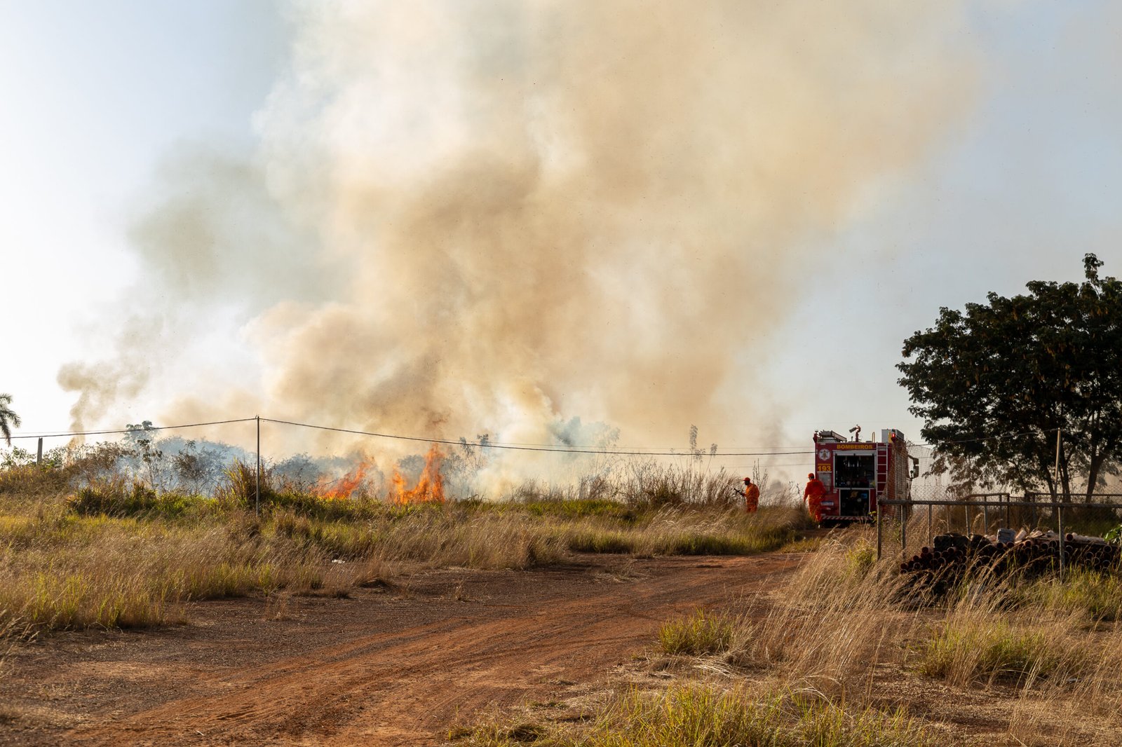 Rondonópolis forma brigada mista com Corpo de Bombeiros para intensificar combate a queimadas