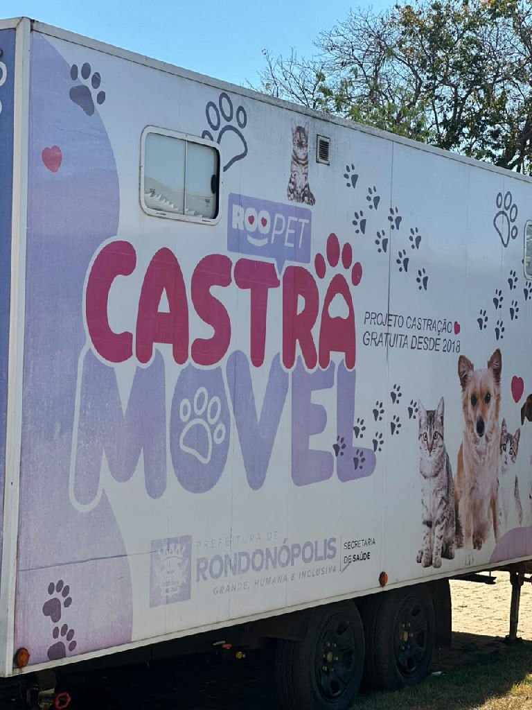 Rondonópolis realiza 3.455 castrações e intensifica ações de bem-estar animal no primeiro semestre de 2026