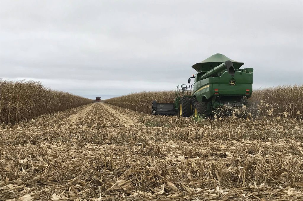Agro transforma o interior do Brasil e altera a produtividade nacional