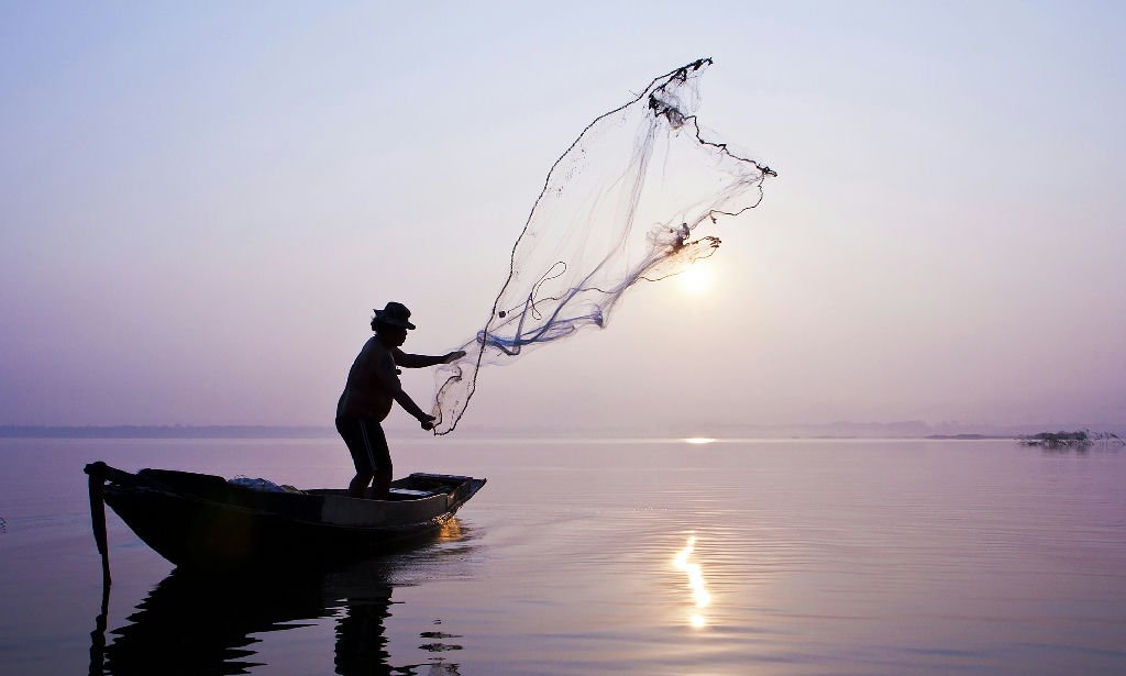 Comissão analisa efeitos da moratória da pesca da piracatinga na Amazônia