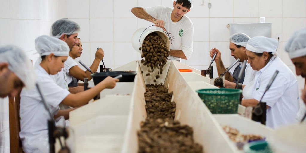Consulta sobre bens sustentáveis no acordo Mercosul–UE se encerra na quarta-feira