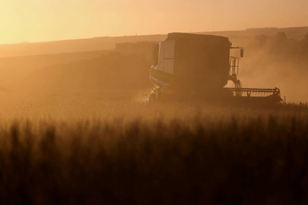 Consumo de milho no Brasil atinge recorde histórico de mais de 100 milhões de toneladas