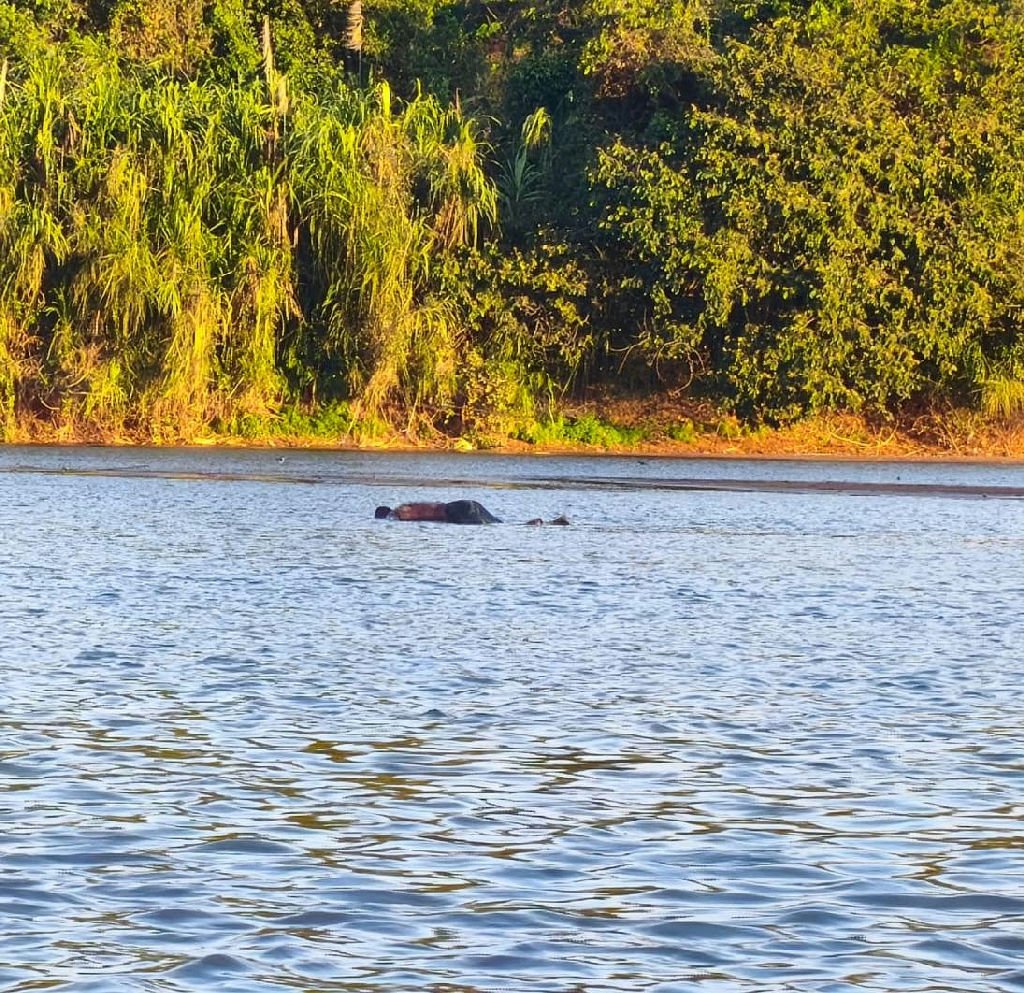 Corpo em decomposição é encontrado no Rio Vermelho, em Rondonópolis