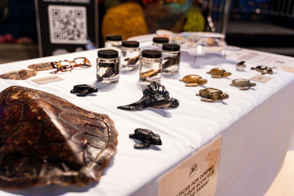 Exposição inédita em Balneário Camboriú vai revelar novas espécies do fundo do mar