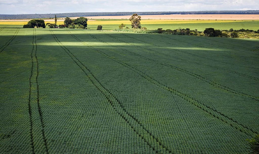Senado aprova programa para fortalecer a produção de fertilizantes no Brasil