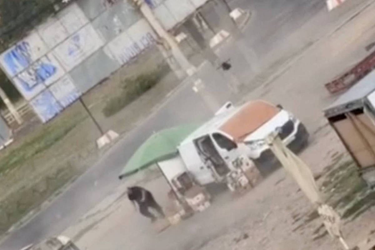 Vídeo revela ataque de drone a vendedor na Ucrânia; cinco mortos em ataques na Rússia