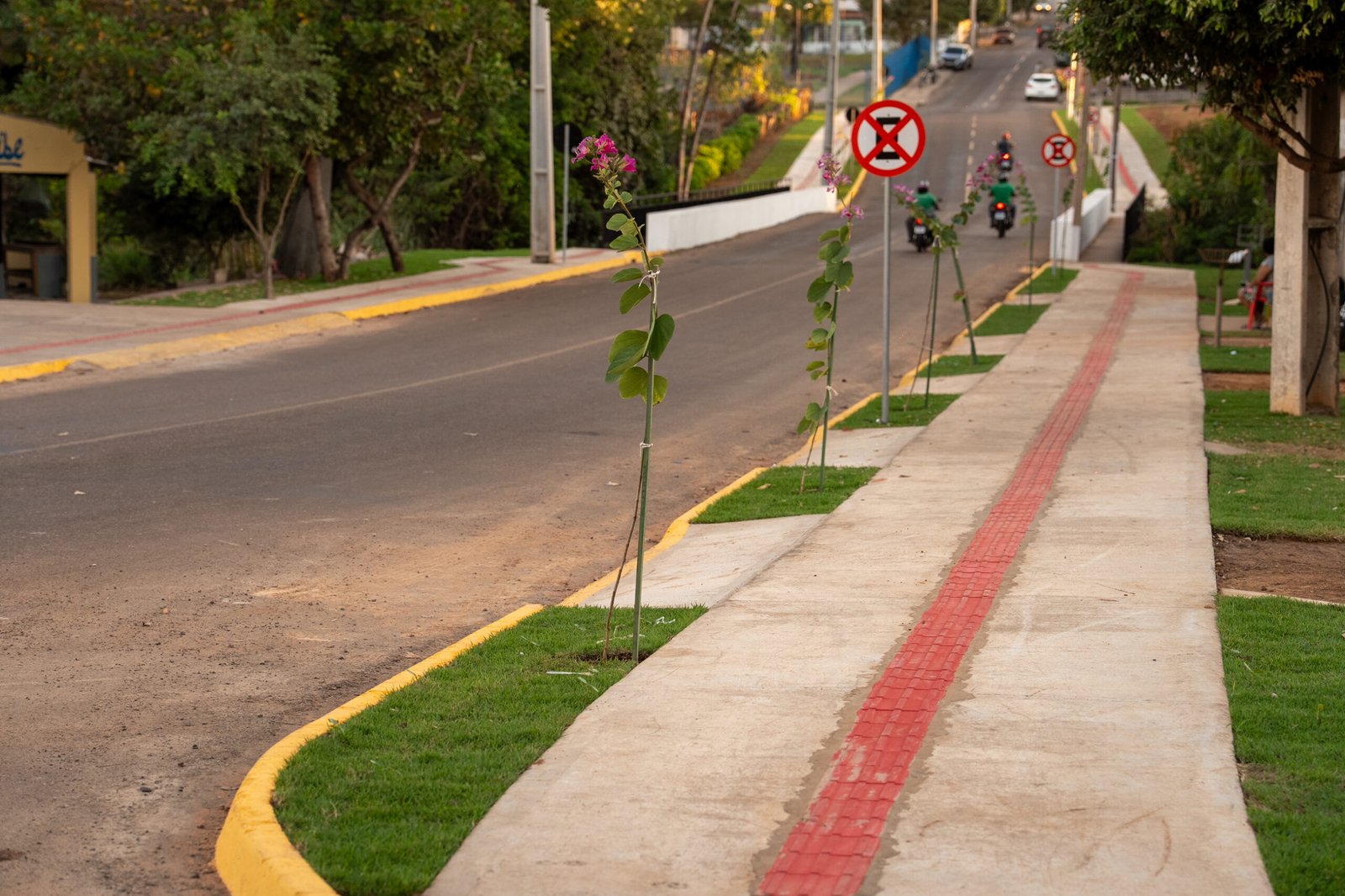 Arborização: um passo essencial para a qualidade de vida em Rondonópolis